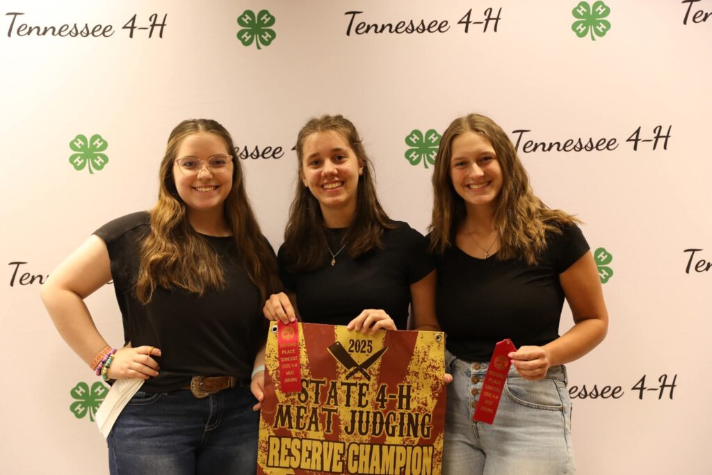 Three youth with 4H awards